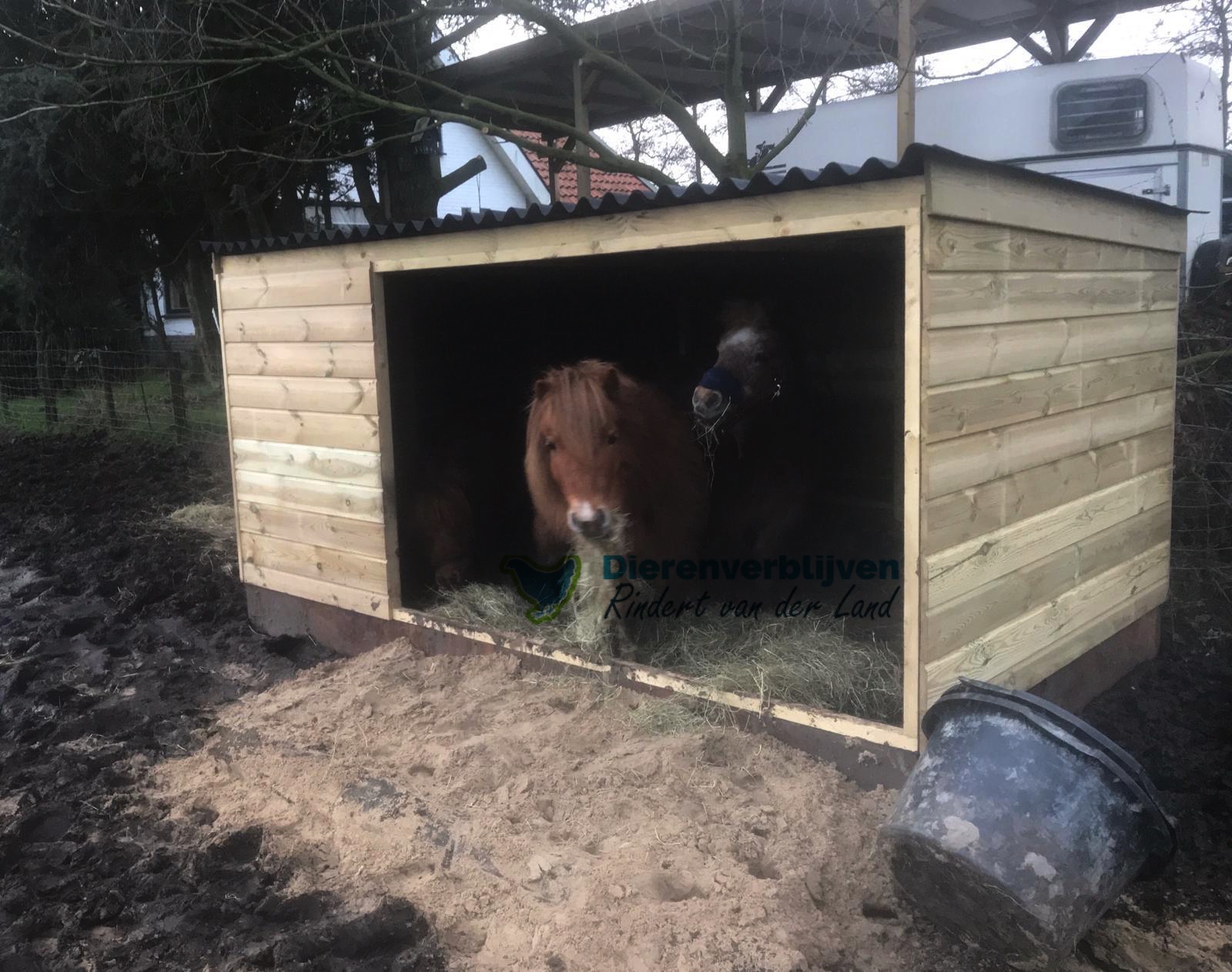 geiten en schapenhok