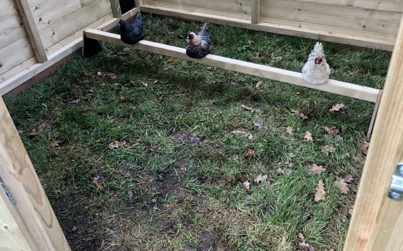 Kippenhok Groot kippenhok Kwaliteits dierenverblijven van der Land