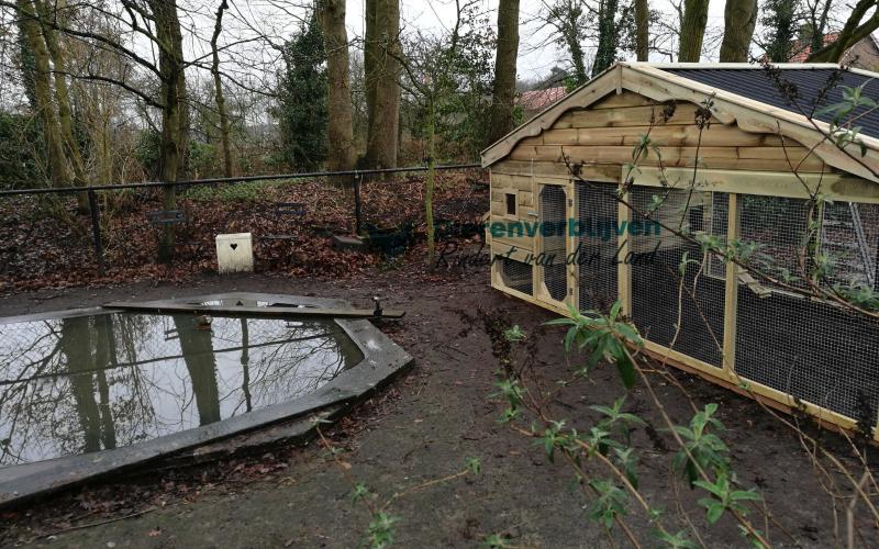 Kippenhok Bolsward type F Kwaliteits dierenverblijven van der Land