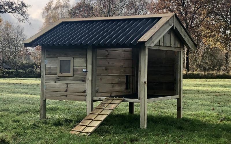 Kippenhok Geitenhok met plateau type A Kwaliteits dierenverblijven van der Land