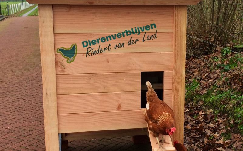 Kippenhok Hooiberg type C Kwaliteits dierenverblijven van der Land