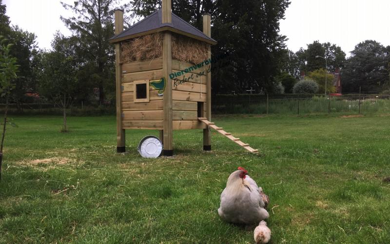 Kippenhok Hooiberg type E Kwaliteits dierenverblijven van der Land