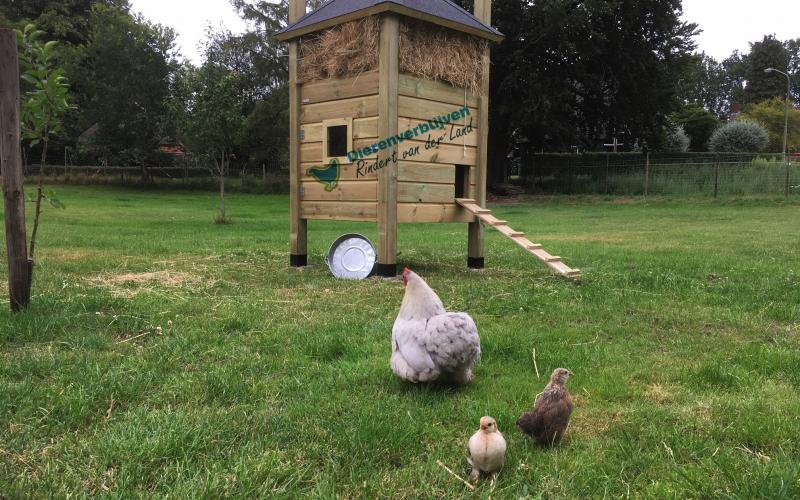 Kippenhok Hooiberg type E Kwaliteits dierenverblijven van der Land