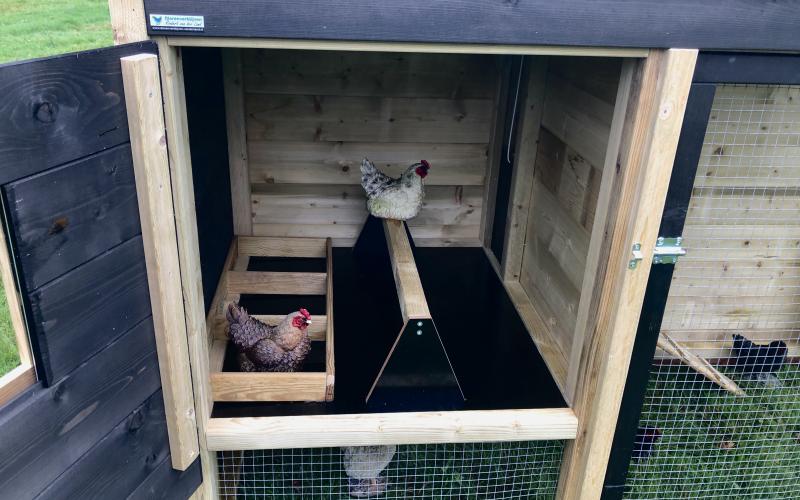 Kippenhok a- Kippenhok Leeuwarden type A, Deluxe Kwaliteits dierenverblijven van der Land