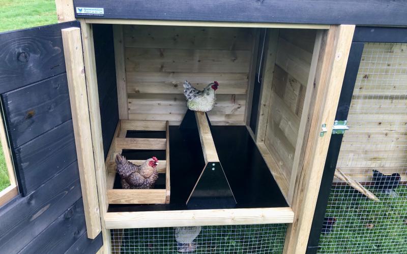 Kippenhok b- Kippenhok Sneek type A, Deluxe Kwaliteits dierenverblijven van der Land