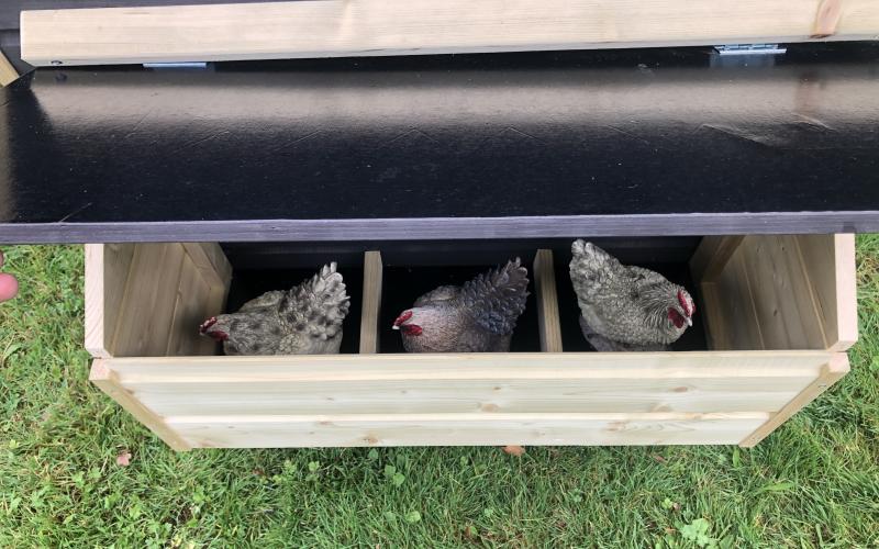 Kippenhok c- Kippenhok Bolsward type A, Deluxe Kwaliteits dierenverblijven van der Land