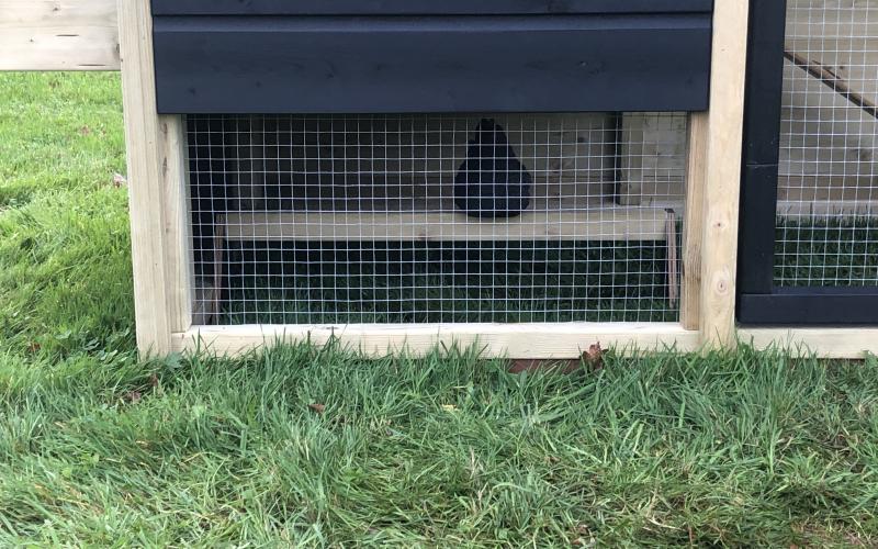 Kippenhok b- Kippenhok Sneek type A, Deluxe Kwaliteits dierenverblijven van der Land
