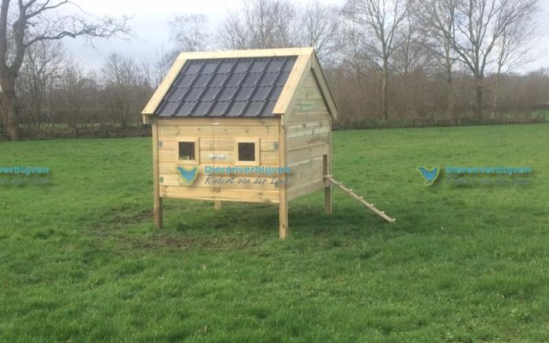 Kippenhok Franeker type C Kwaliteits dierenverblijven van der Land