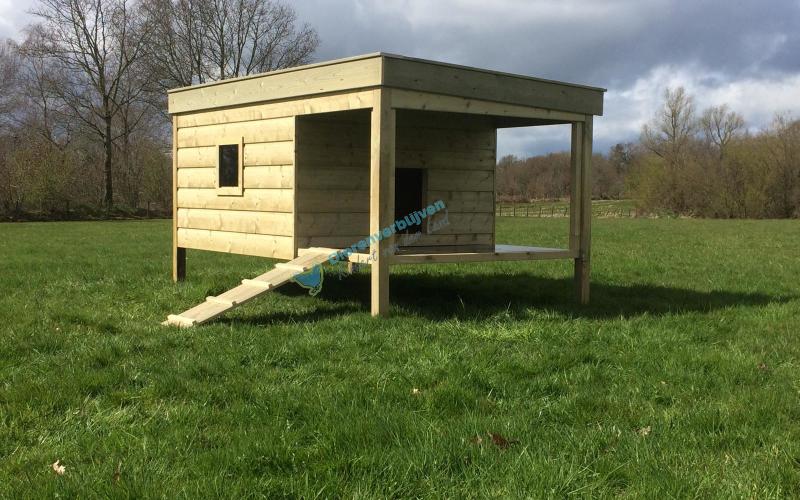 Kippenhok Weidestal type C Kwaliteits dierenverblijven van der Land