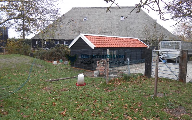 Kippenhok Sneek dubbel met dakpannen type A Kwaliteits dierenverblijven van der Land