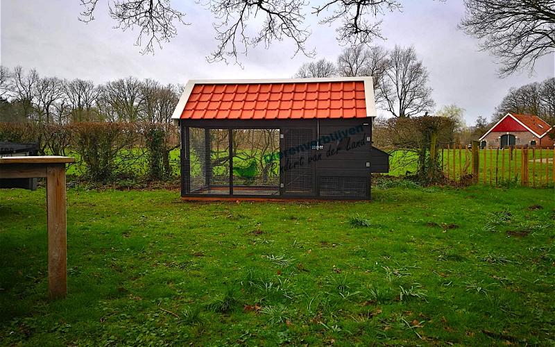 Kippenhok Sneek met dakpannen type D Kwaliteits dierenverblijven van der Land