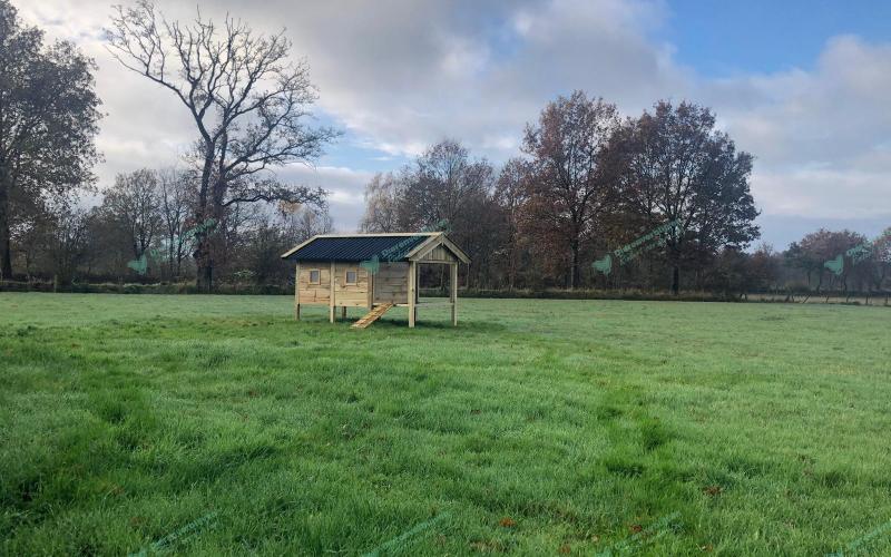 Kippenhok Geitenhok type B Kwaliteits dierenverblijven van der Land