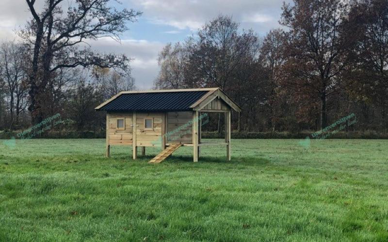 Kippenhok Geitenhok type B Kwaliteits dierenverblijven van der Land