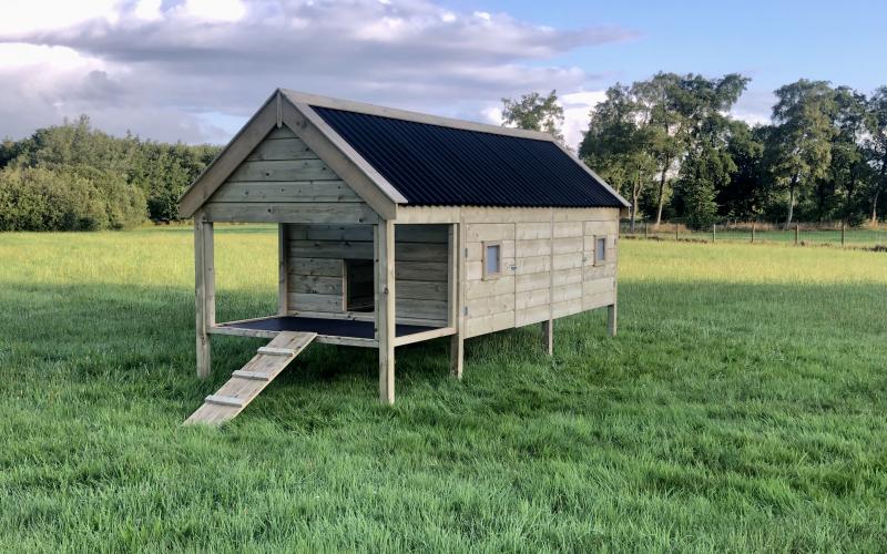 Kippenhok Weidestal type F Kwaliteits dierenverblijven van der Land