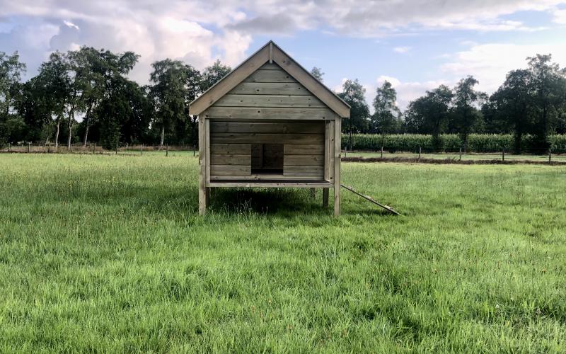 Kippenhok Weidestal type F Kwaliteits dierenverblijven van der Land