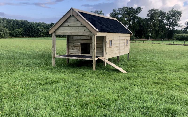Kippenhok Weidestal type F Kwaliteits dierenverblijven van der Land