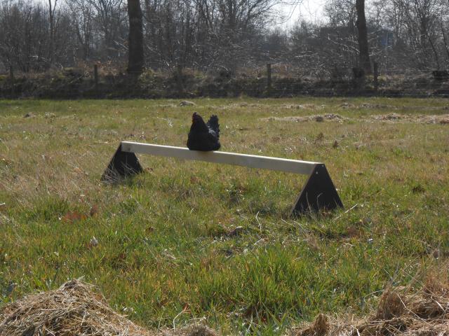 Dierenverblijven van der land Extra zitstok