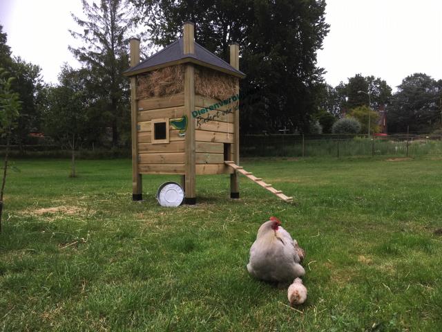 Dierenverblijven van der land Hooiberg type E